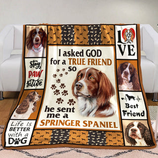 Springer Spaniel Dog Fleece Blanket MR0601 70O50