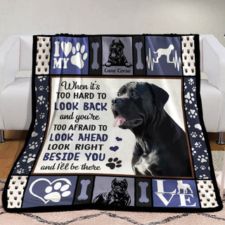 Cane Corso Dog Fleece Blanket MR0301 70O50