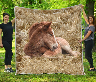 Baby Horse Feet Quilt Full Soft Material Print Multiple Size Gift Bedroom Decoration