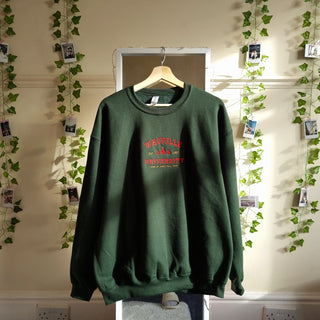 Retro Vintage Embroidered Sweatshirt 2D Crewneck Sweatshirt All Over Print Sweatshirt For Women Sweatshirt For Men SWS5183